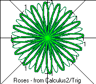 a trig rose