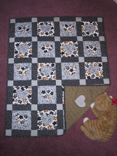 MA's kitty quilt