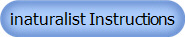 inaturalist Instructions