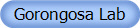 Gorongosa Lab