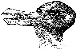 A black and white image of a duck

Description automatically generated