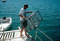 Deploying a fish trap