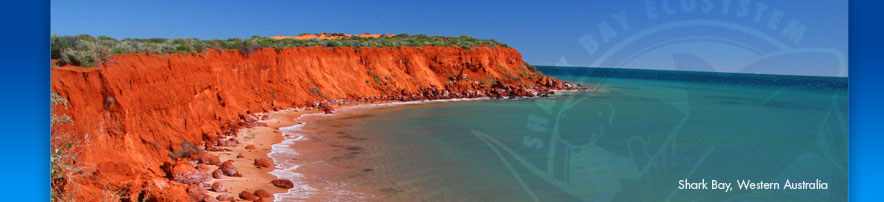 Shark Bay, Australia