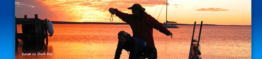 Sunset on Shark Bay