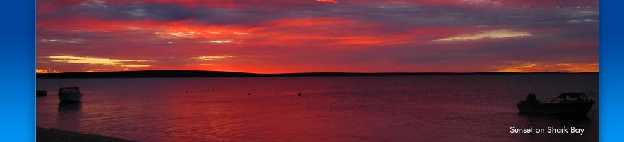 Sunset on Shark Bay
